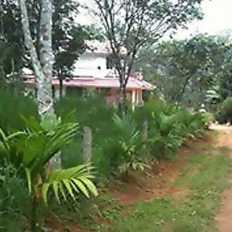 South Fork Homestay, Wayanad 5